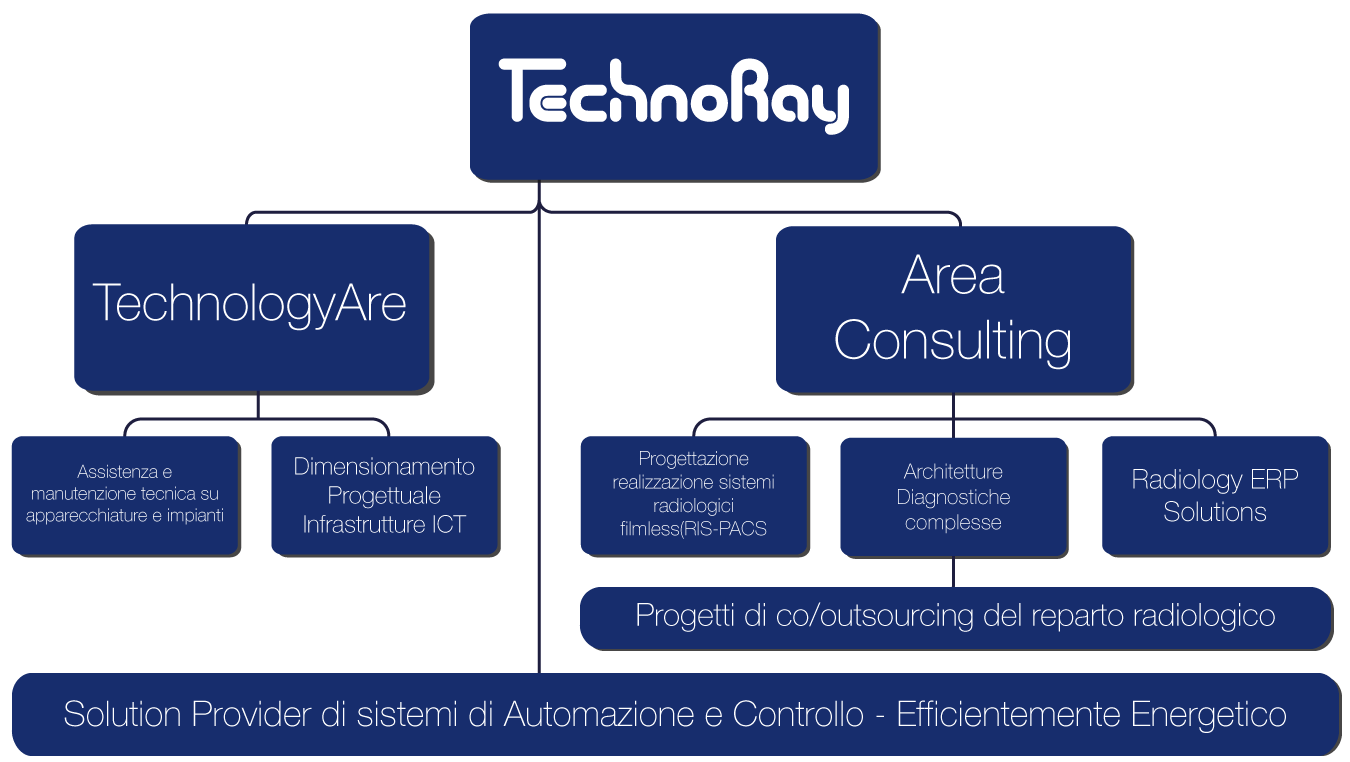 technoray_consulting